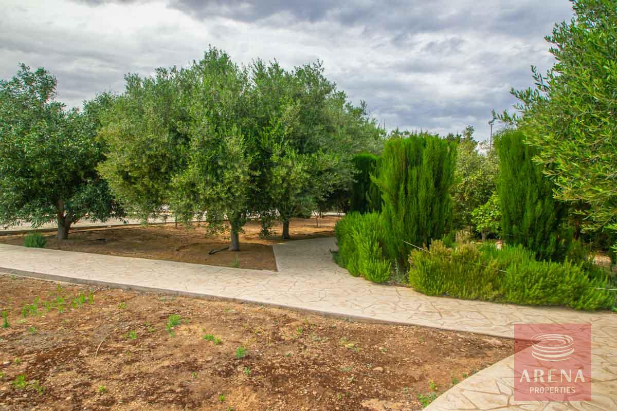 3 Bed Villa in Pernera for sale - communal garden