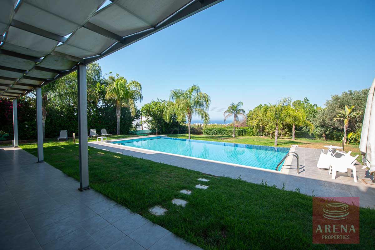 buy villa in Protaras - swimming pool