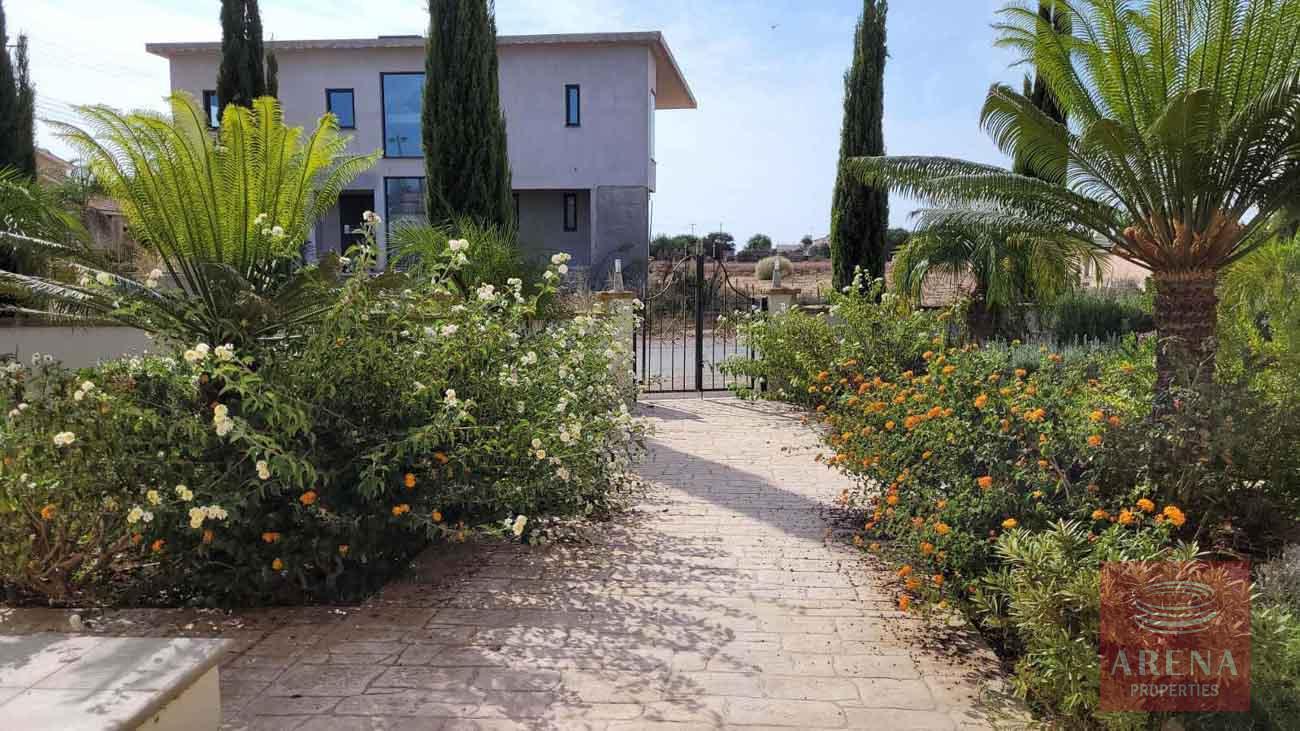 5 Bed Villa in Paralimni - garden
