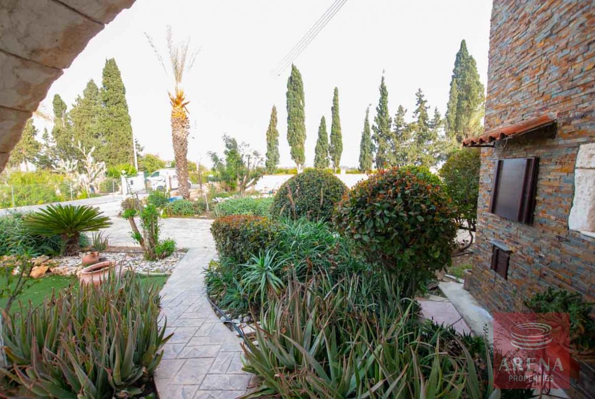 5 bed villa in Pervolia - garden