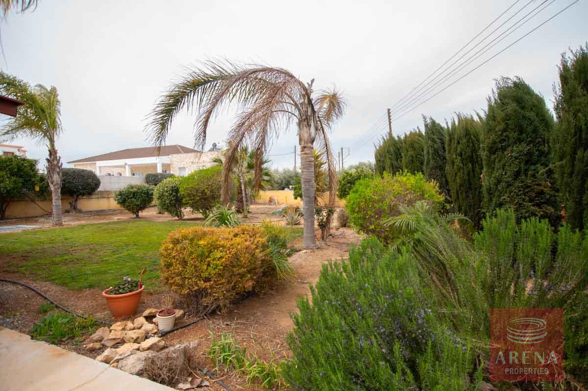 3 bed villa in Sotira - garden