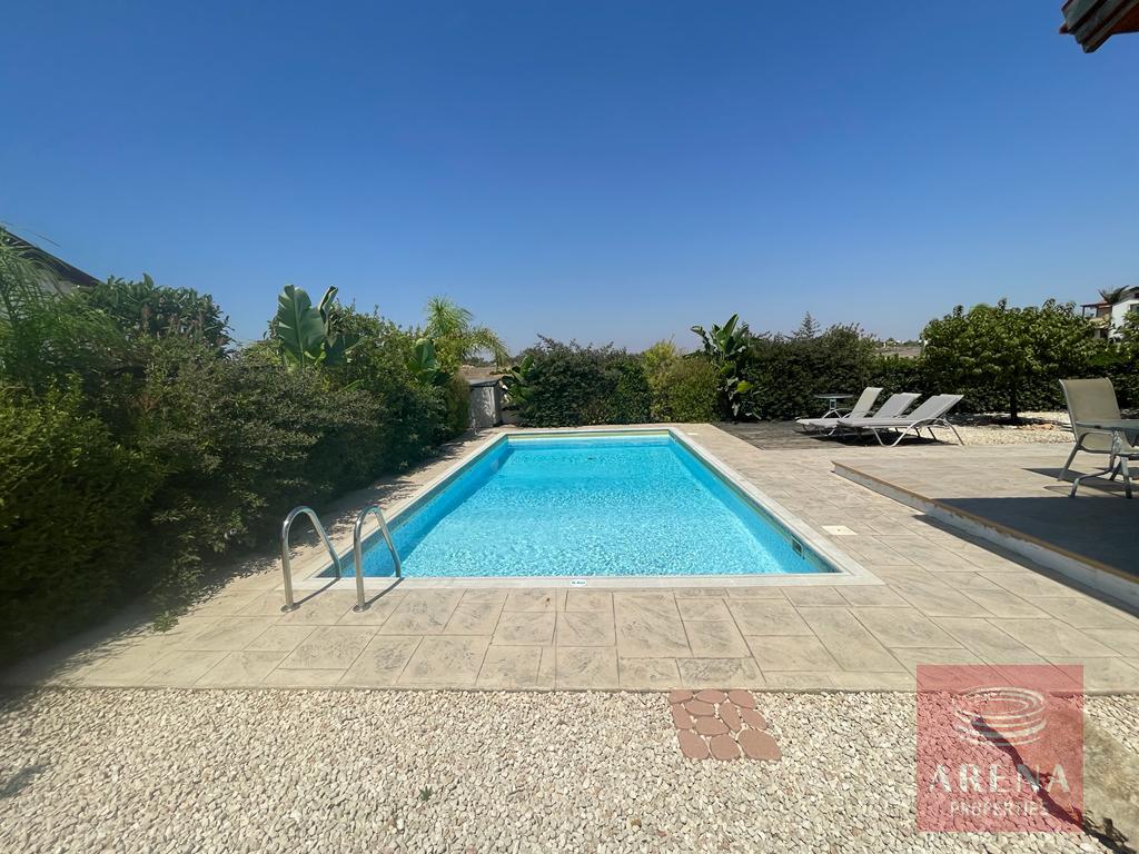 VILLA IN AYIA THEKLA - POOL