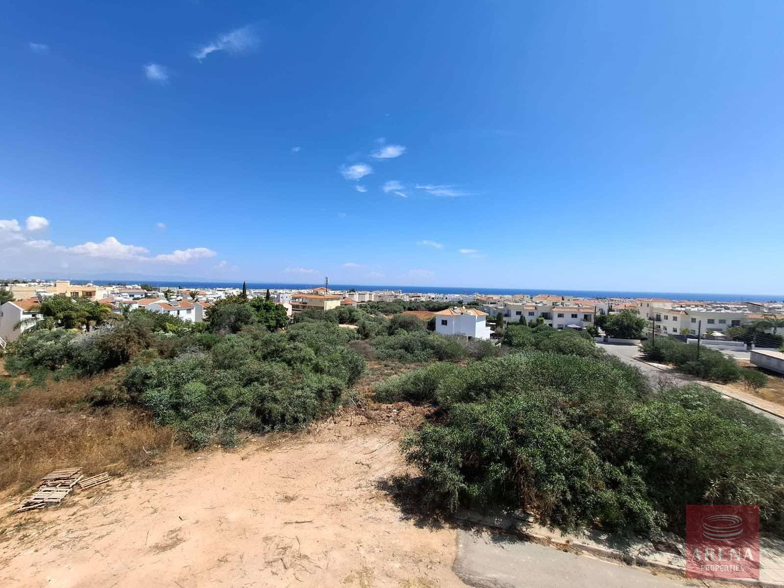 1-PENTHOUSE-IN-KAPPARIS-9735-2