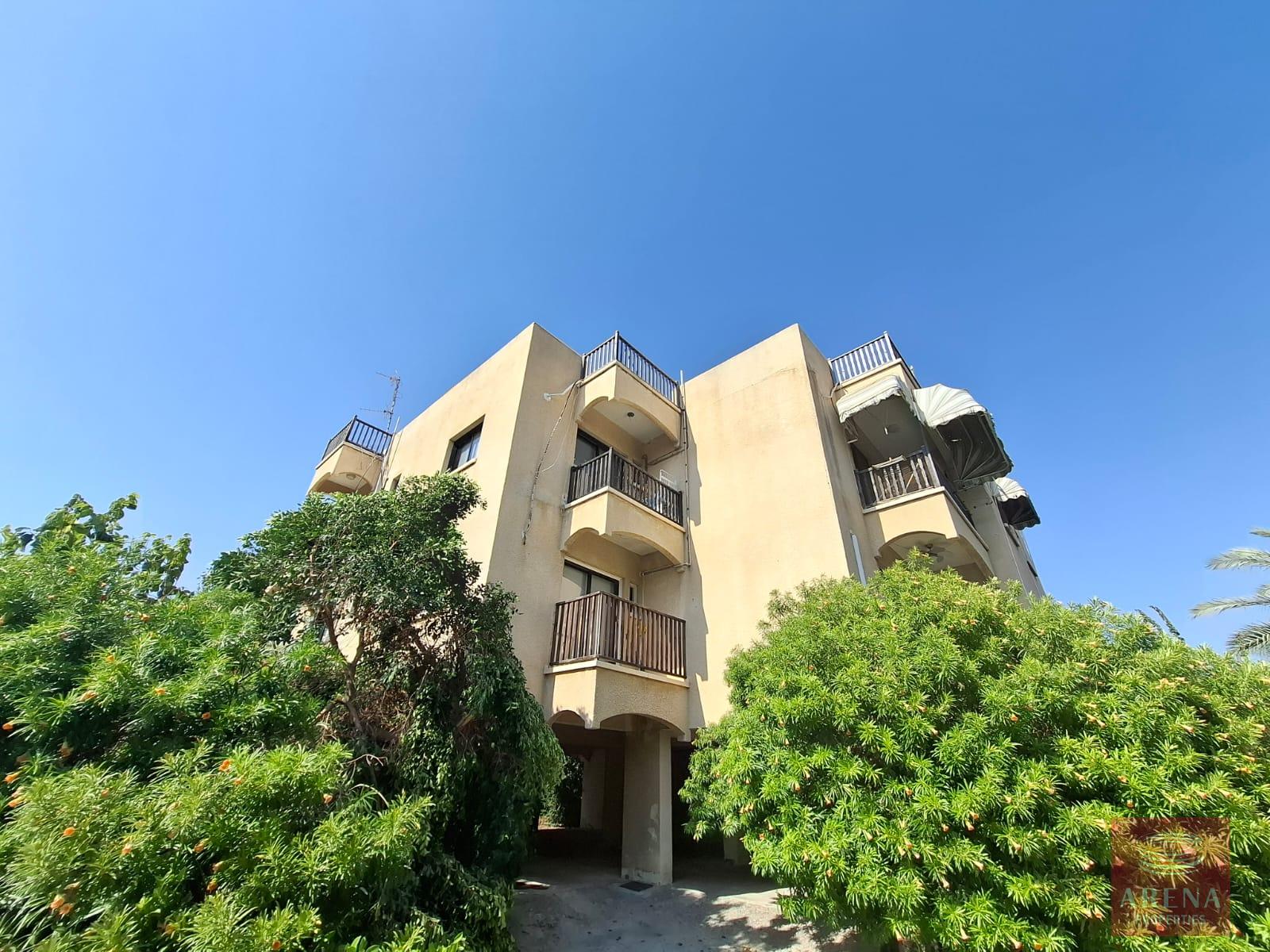 1-STUDIO-DEKELIA-10095-9-5