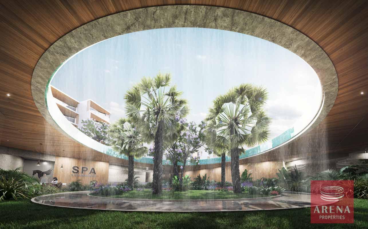 10-studio-in-Pyla-5814-5