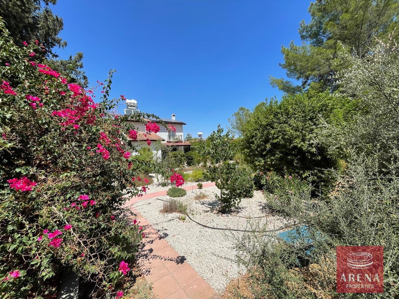 11-house-in-mosfiloti-8400