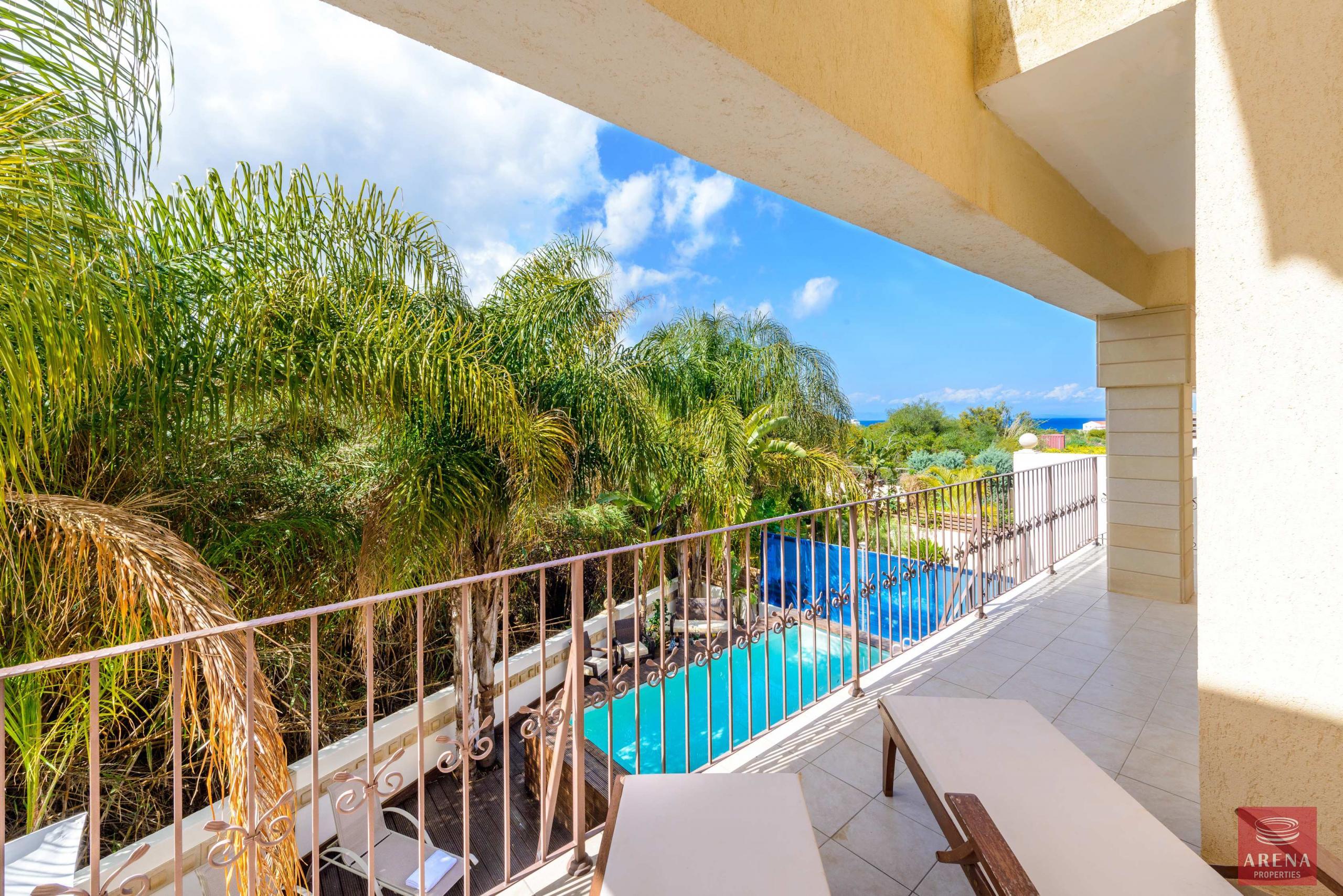 1478-D80_6913-scaled-1