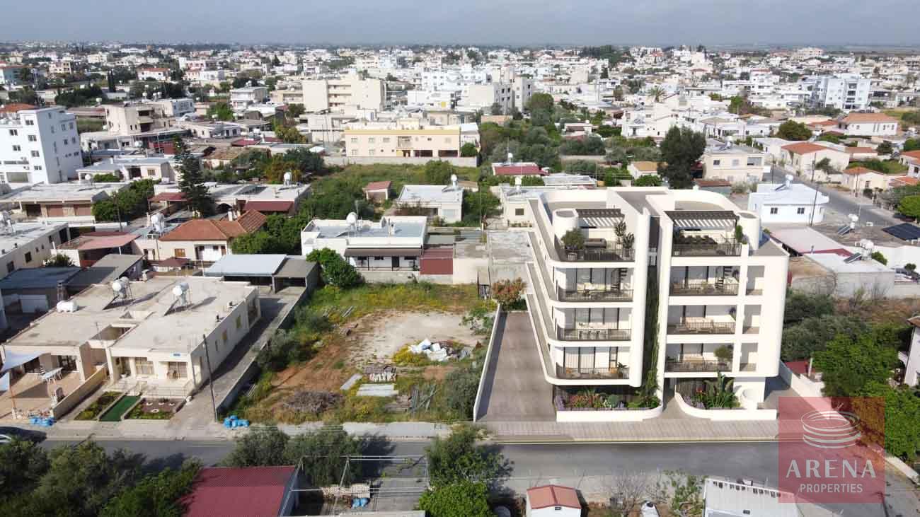 15-APTS-IN-DERYNIA-8154-5