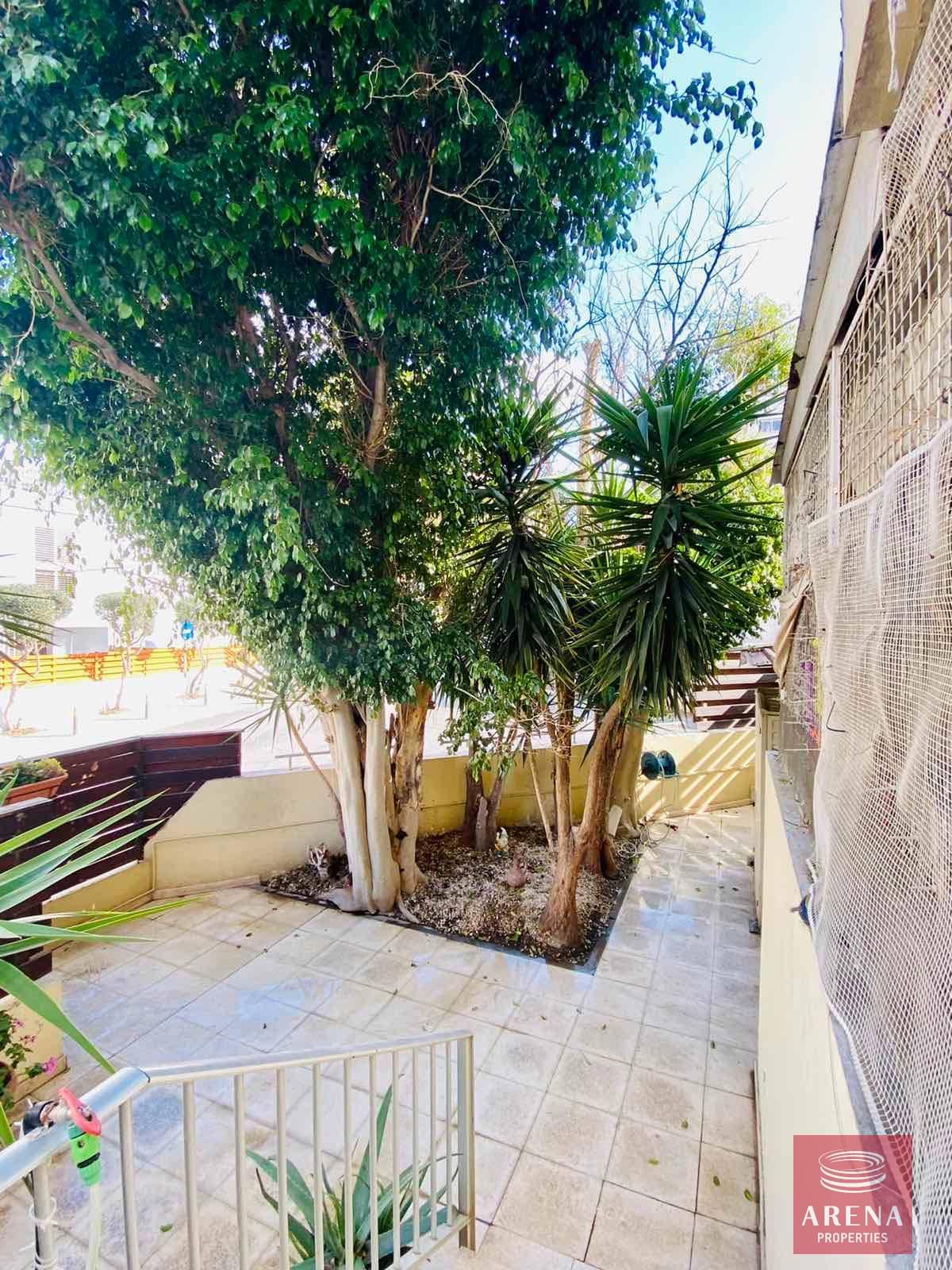 272665538_513972443672259_8355545672704938422_n-1