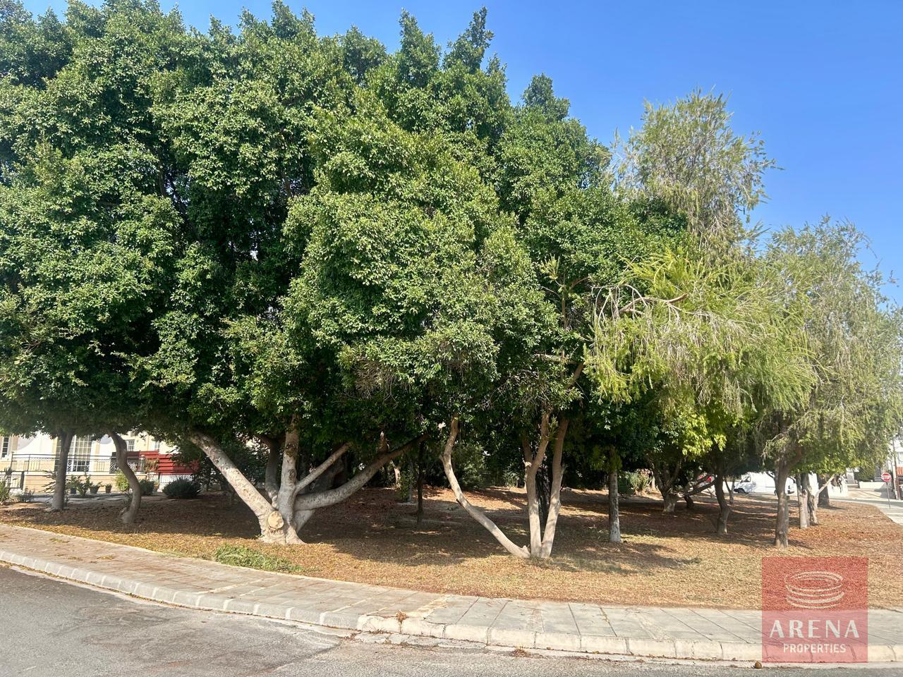 3-2-BED-APT-IN-OROKLINI-8880-1