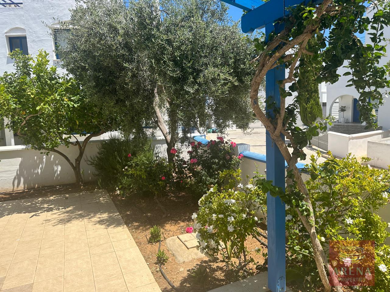 4-3-BED-VILLA-IN-AYIA-TRIADA-8083-1
