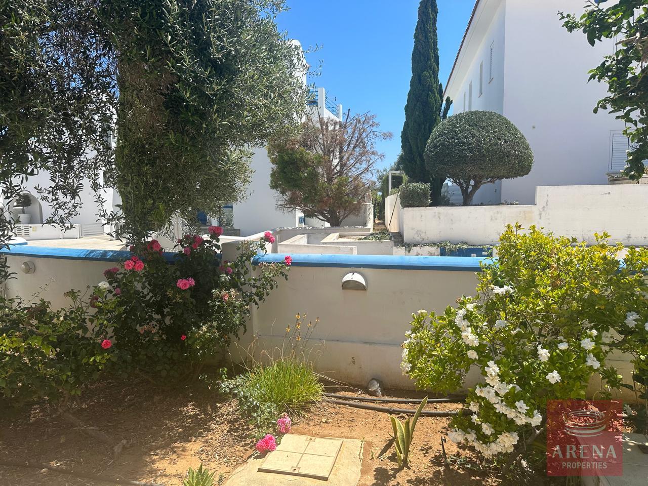 5-3-BED-VILLA-IN-AYIA-TRIADA-8083-1