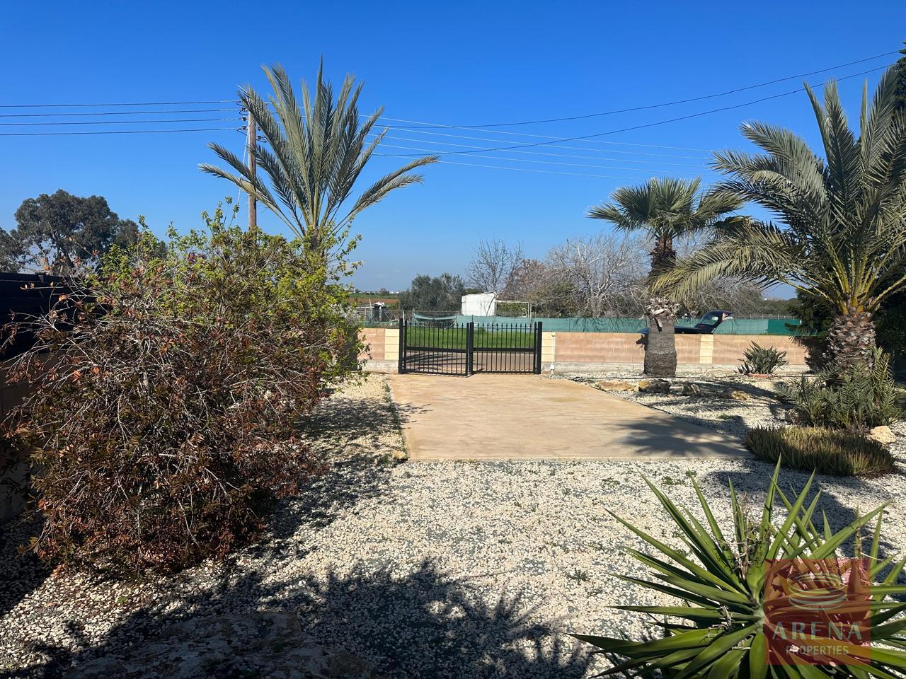 9-VILLA-FOR-RENT-IN-LIOPETRI-9223-1