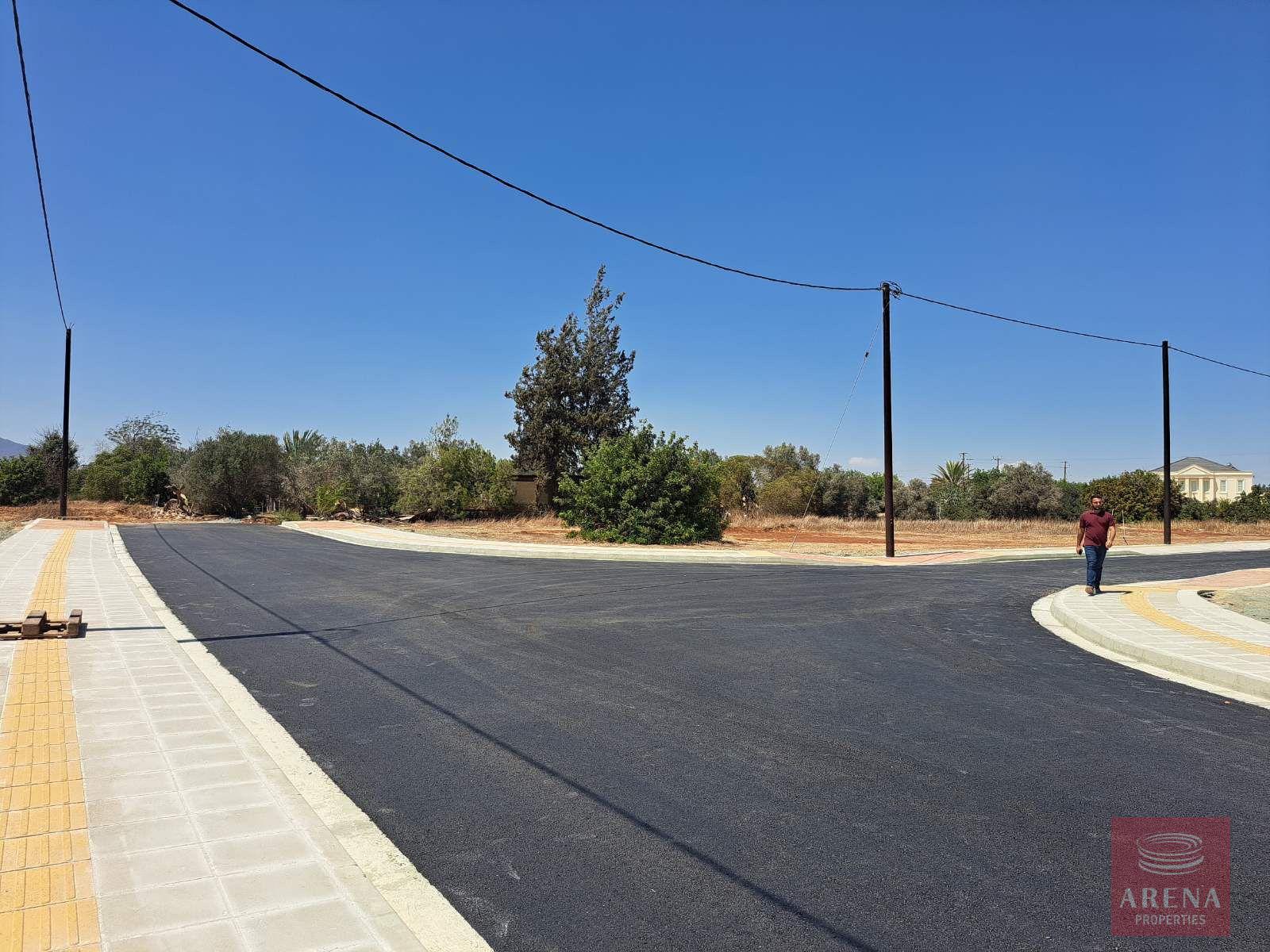 IMG-20251124-WA0011-2