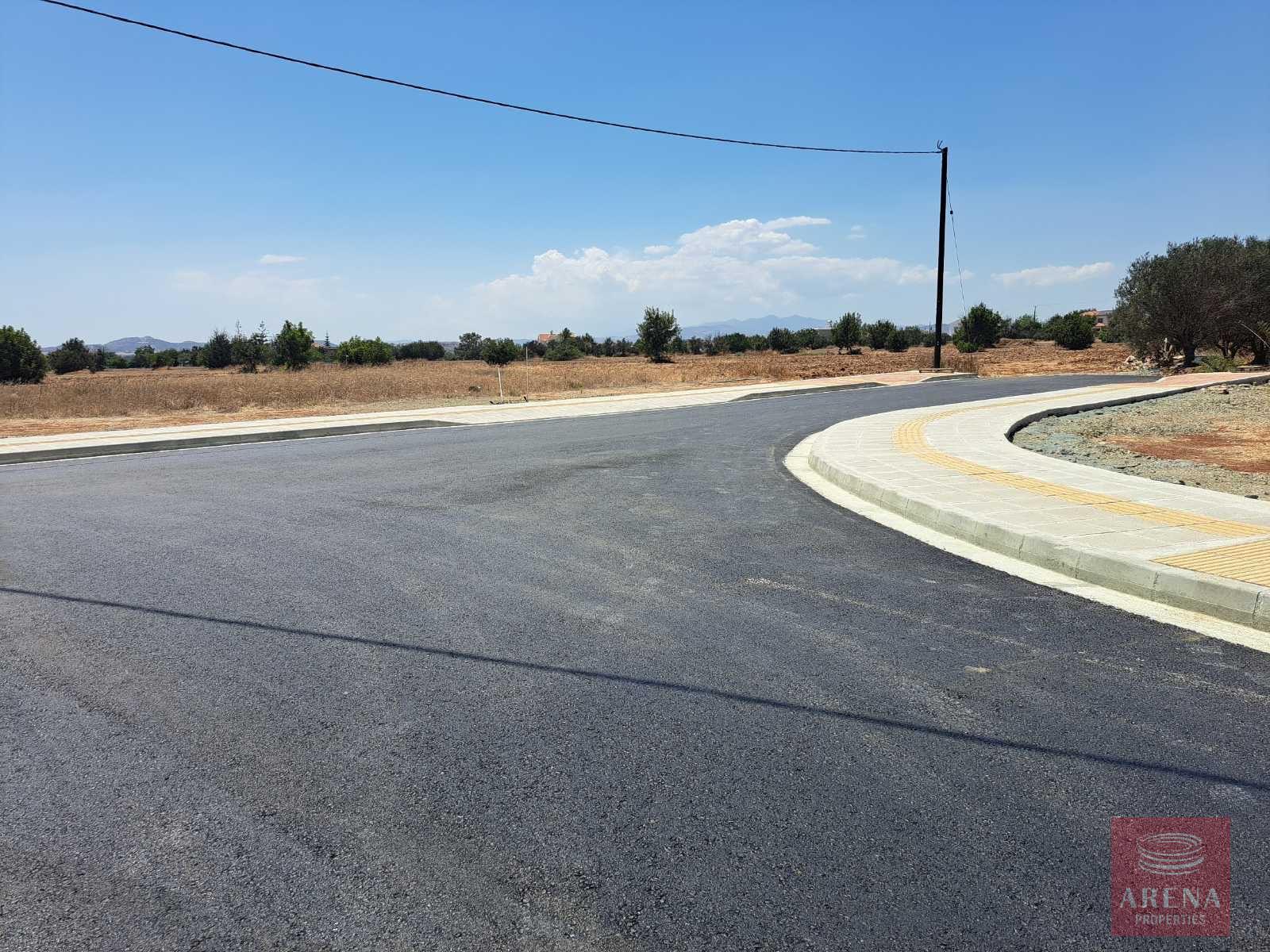 IMG-20251124-WA0014-2