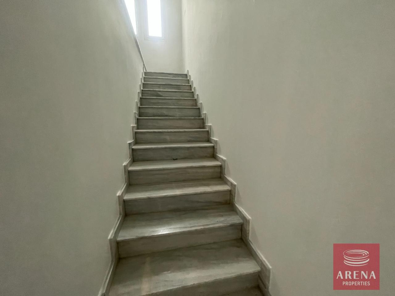 WhatsApp-Image-2024-02-13-at-3.21.23-PM-1-1