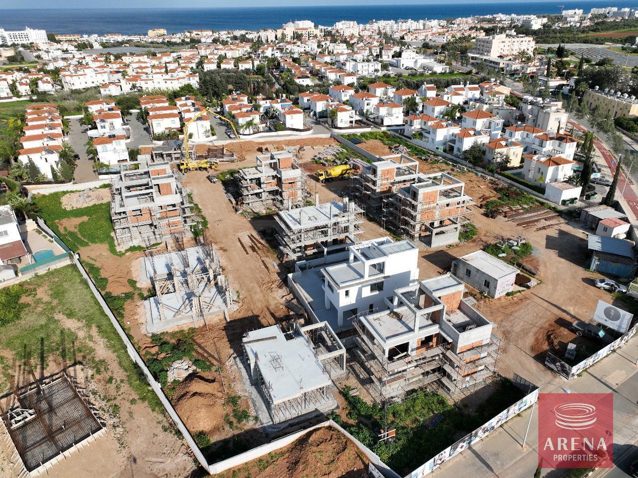 WhatsApp-Image-2024-03-13-at-16.46.44_7a6eb492-1