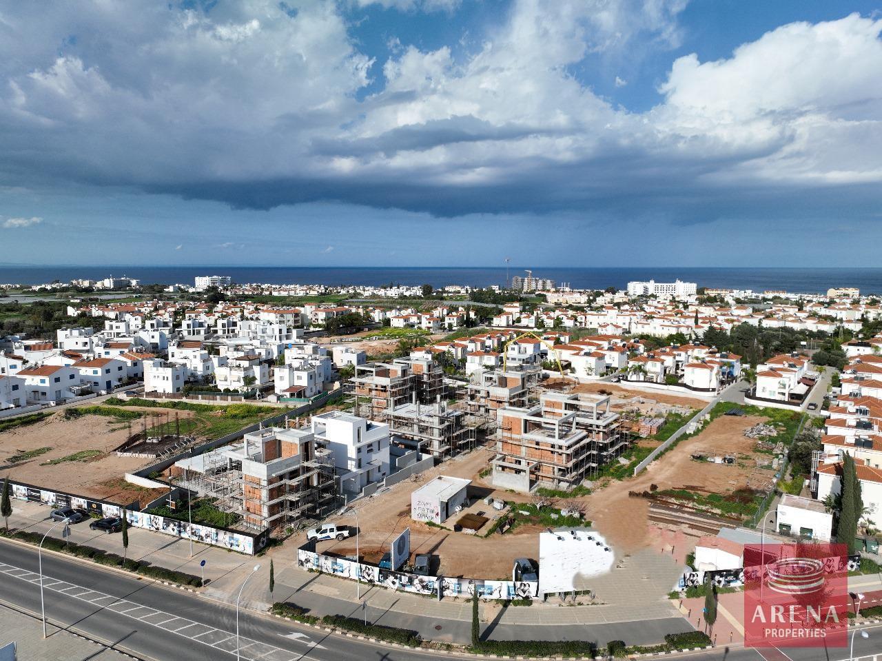 WhatsApp-Image-2024-03-13-at-16.46.44_aa08e0d7-1