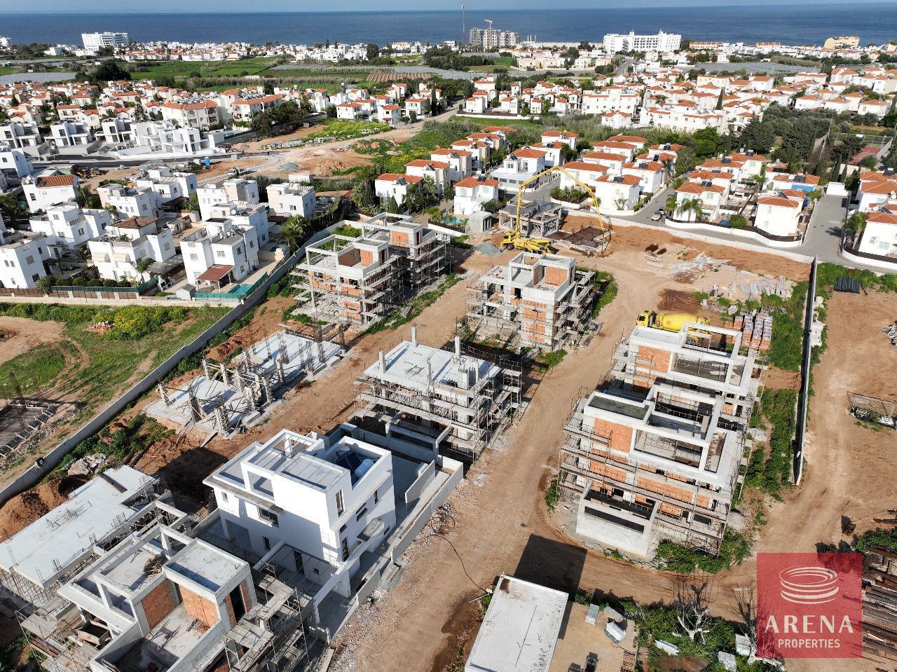 WhatsApp-Image-2024-03-13-at-16.46.44_d8de7ebb-1