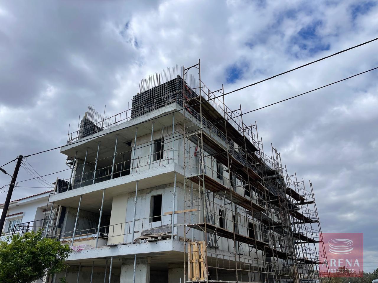 WhatsApp-Image-2025-03-21-at-10.10.27-AM-1