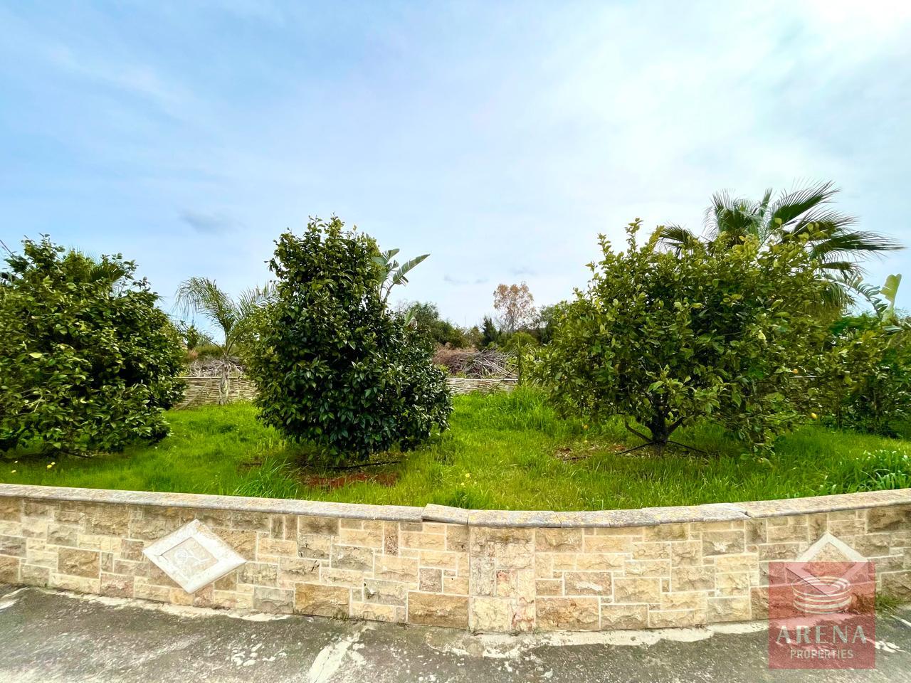 4-VILLA-IN-PROTARAS-9236-5