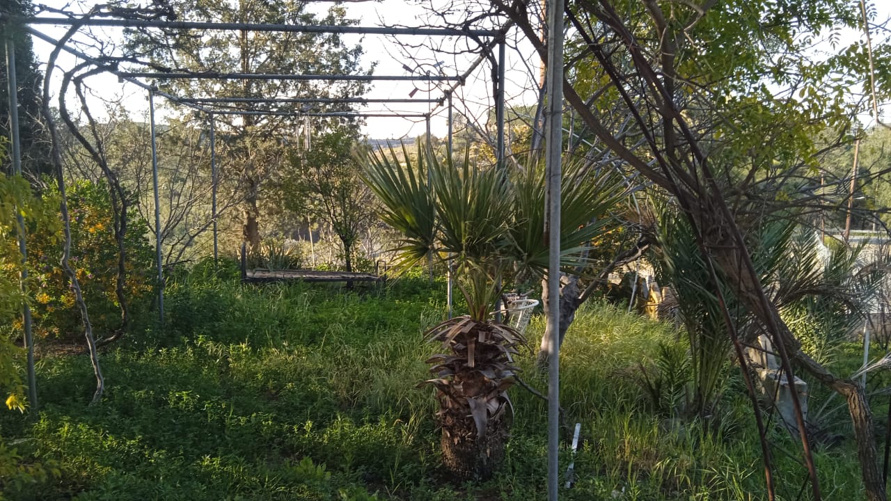 5-HOUSE-IN-LAGEIA-9326-3