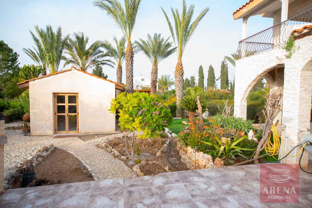 13-5-bed-villa-in-Pervolia-6045