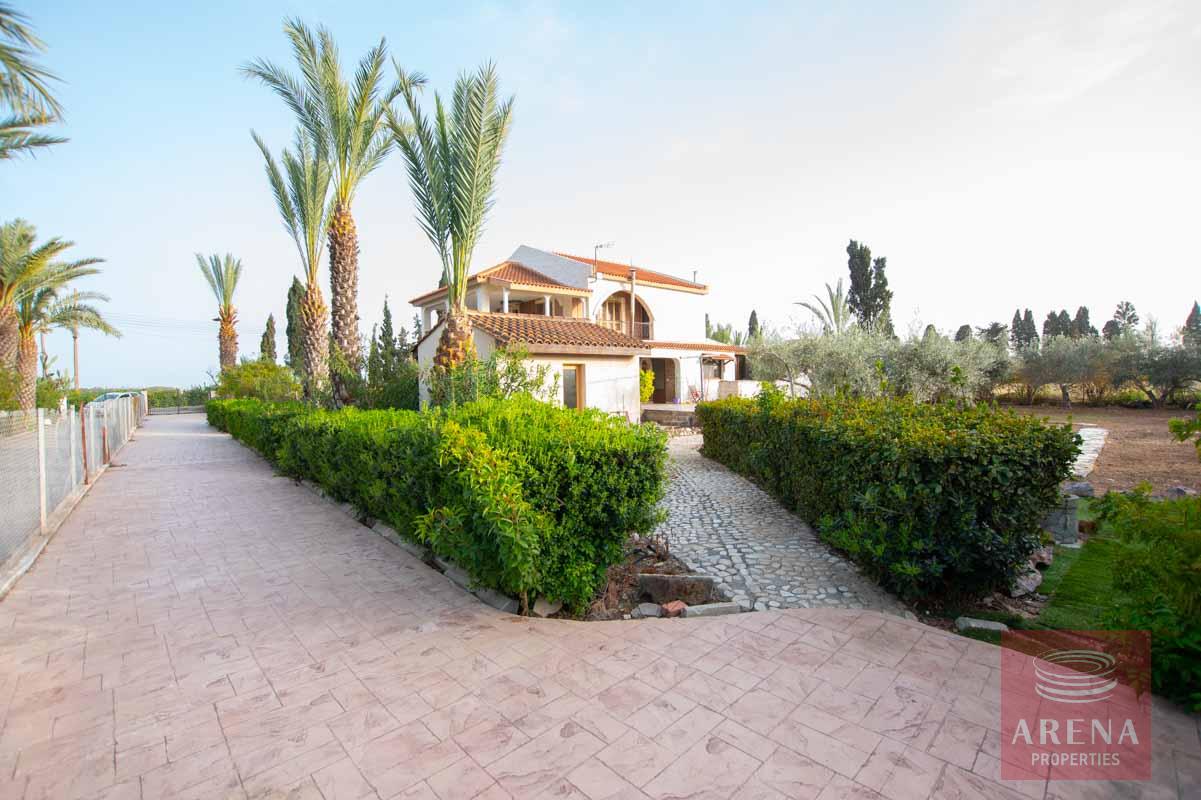 3-5-bed-villa-in-Pervolia-6045