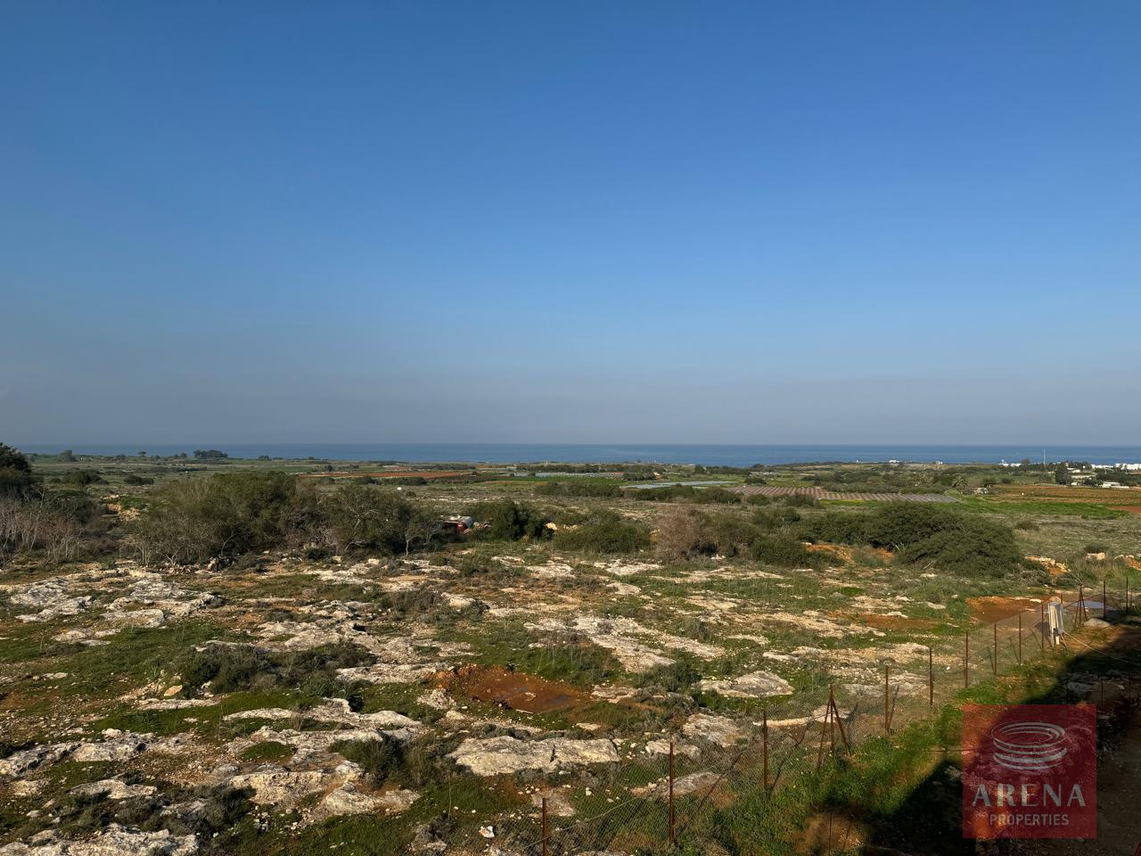 IMG-20250115-WA0023-2