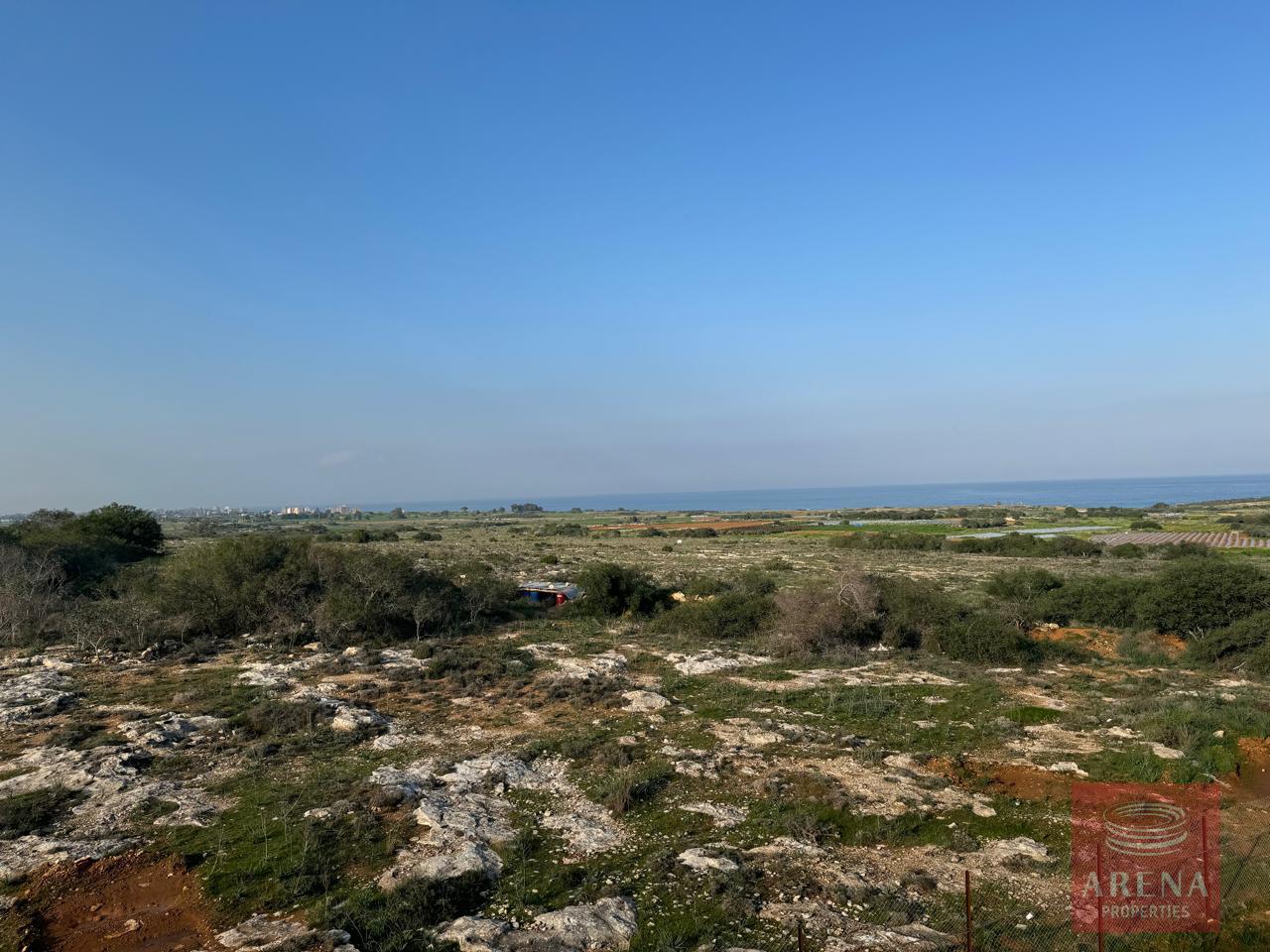 IMG-20250115-WA0025-2