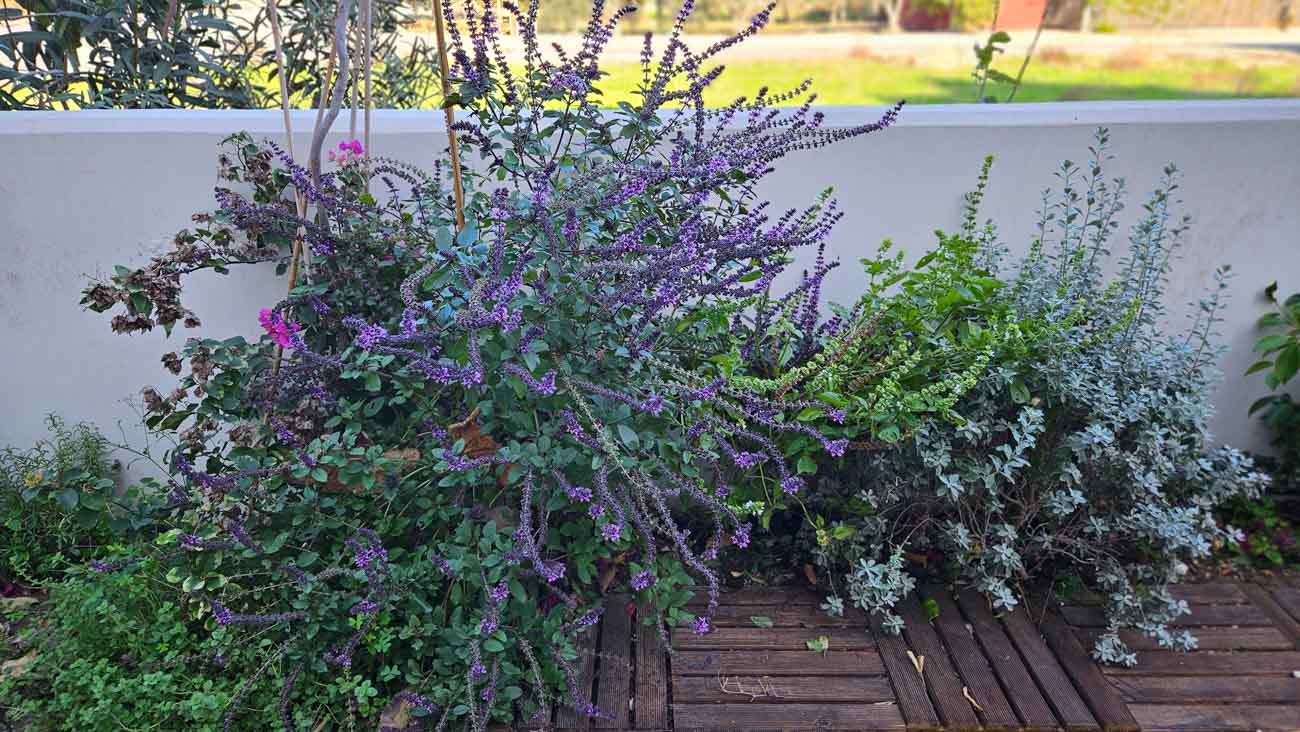 1-VILLA-N-KITI-10443-20