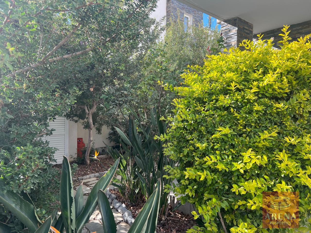 10-3-BED-VILLA-FOR-RENT-IN-PROTARAS-8868