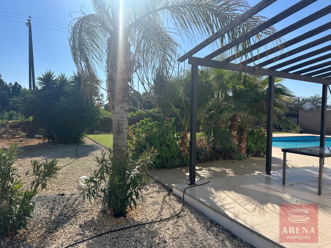 12-VILLA-FOR-RENT-IN-LIOPETRI-9223