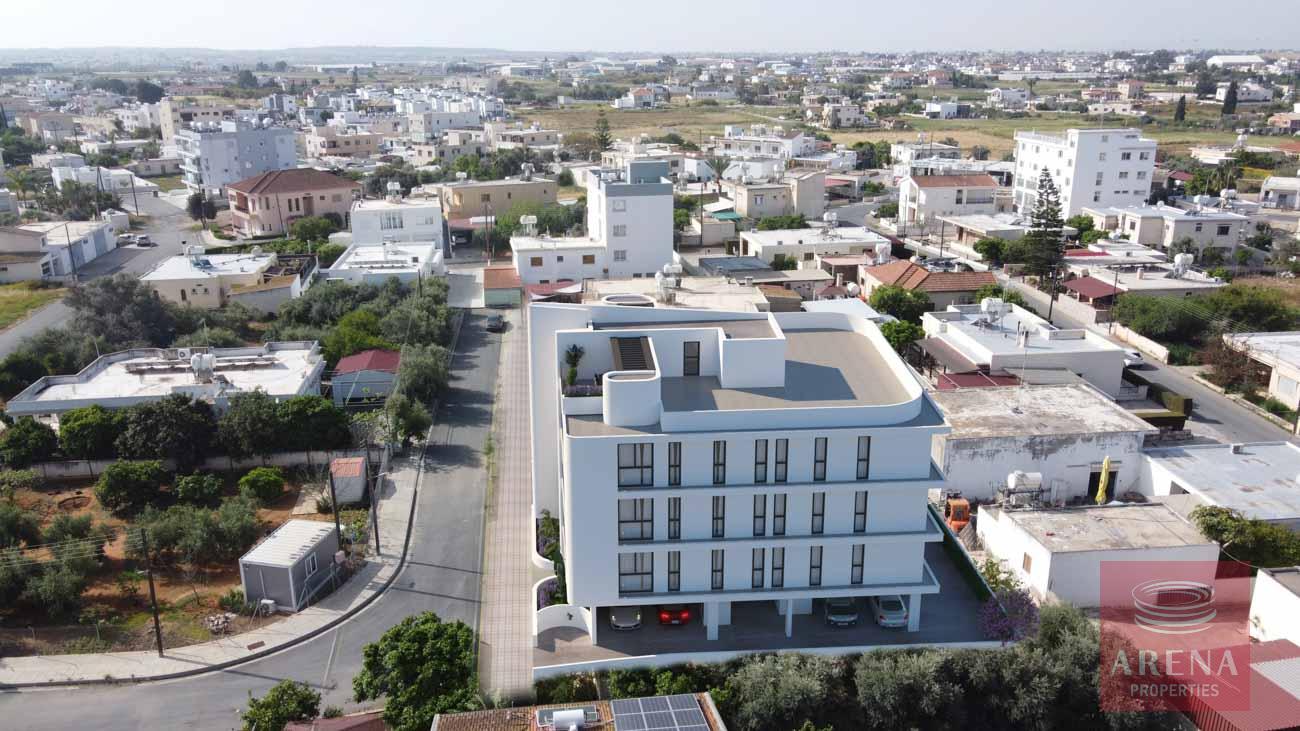 13-APTS-IN-DERYNIA-8154-1