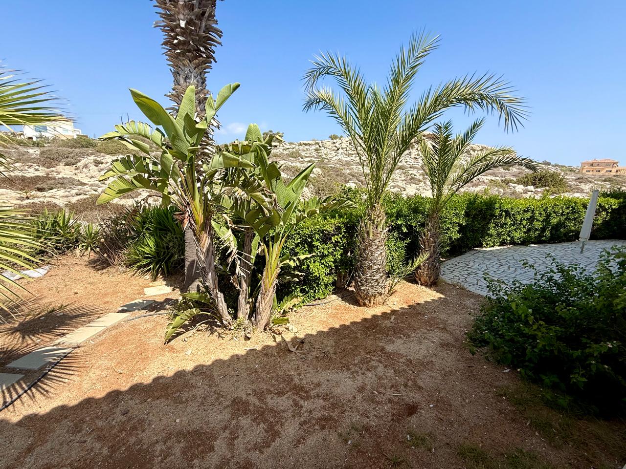 14-VILLA-AYIA-NAPA-10149