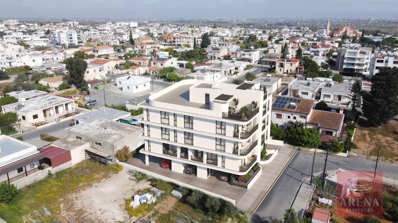 16-APTS-IN-DERYNIA-8154