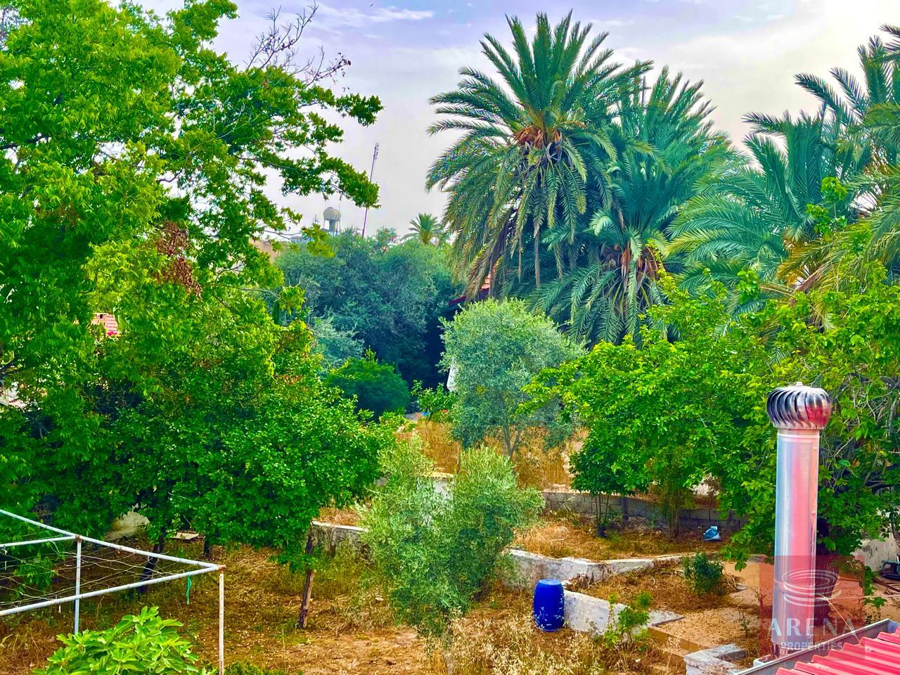 29-3-BED-TH-IN-SOTIROS-8141-1