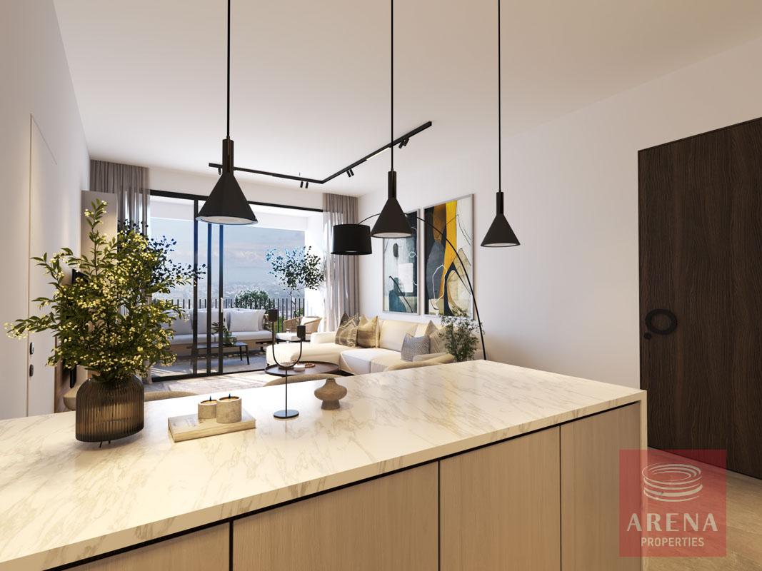 32-APTS-IN-DERYNIA-8154