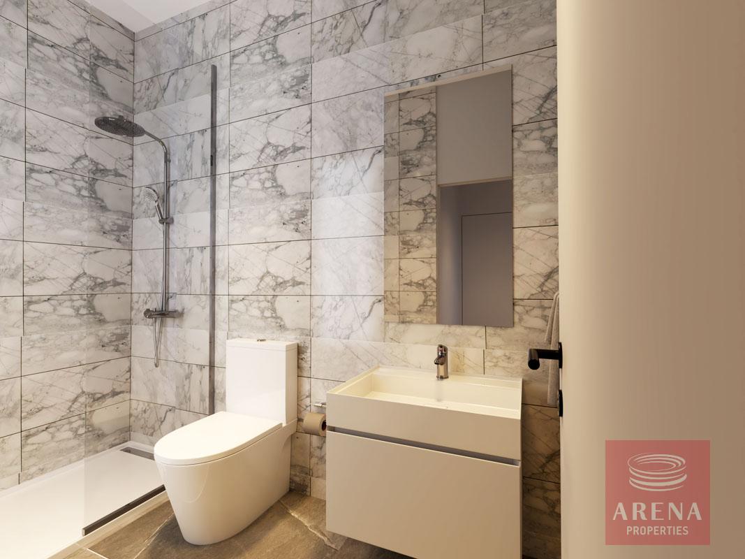 36-APTS-IN-DERYNIA-8154