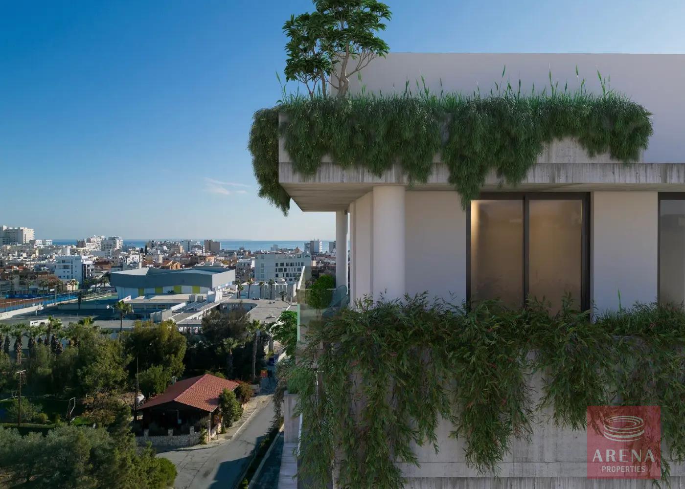 4-APTS-NEXT-TO-FINIKOUDES-8101-1