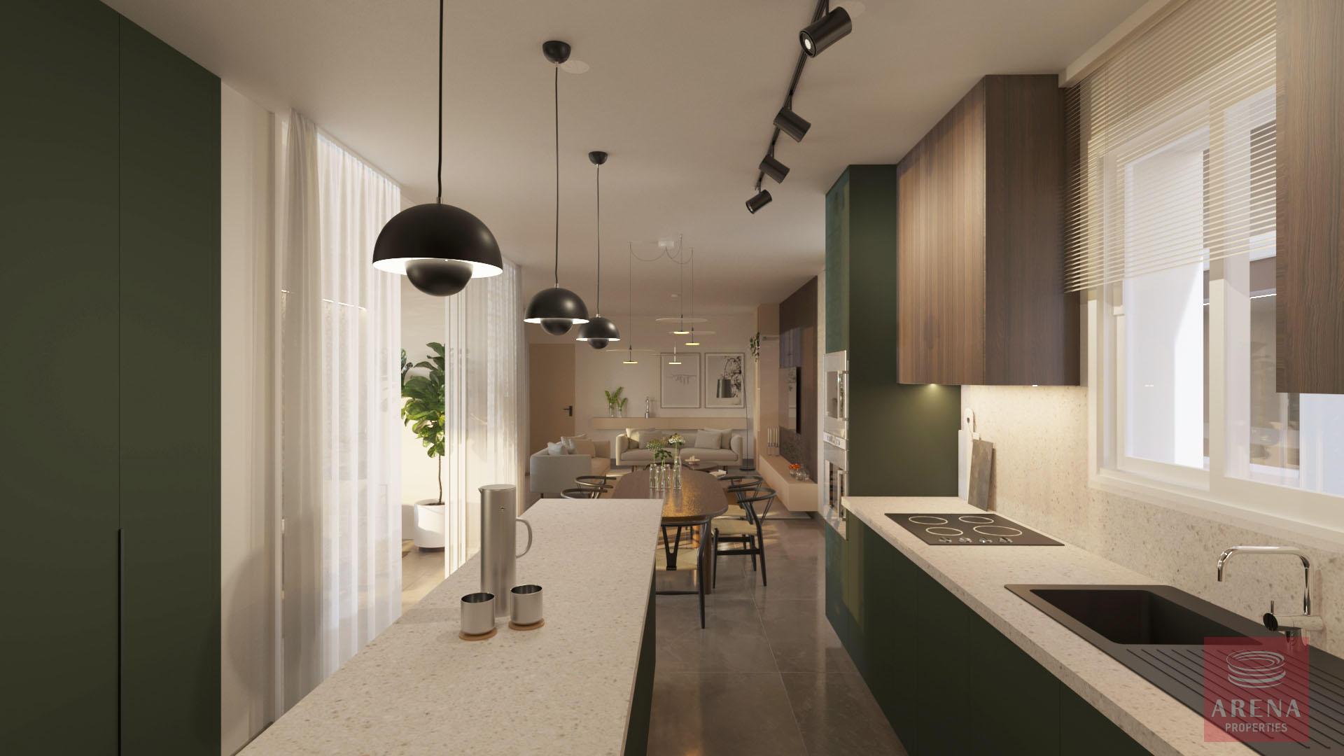 6-APTS-IN-DERYNIA-8150-1