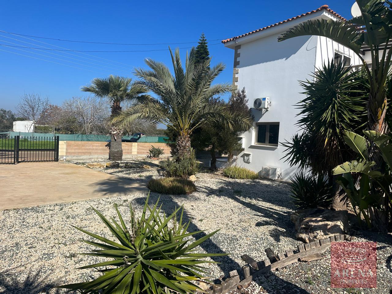 6-VILLA-FOR-RENT-IN-LIOPETRI-9223