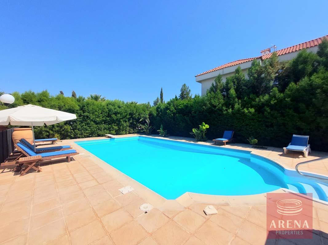 6-VILLA-IN-AYIA-NAPA-6501