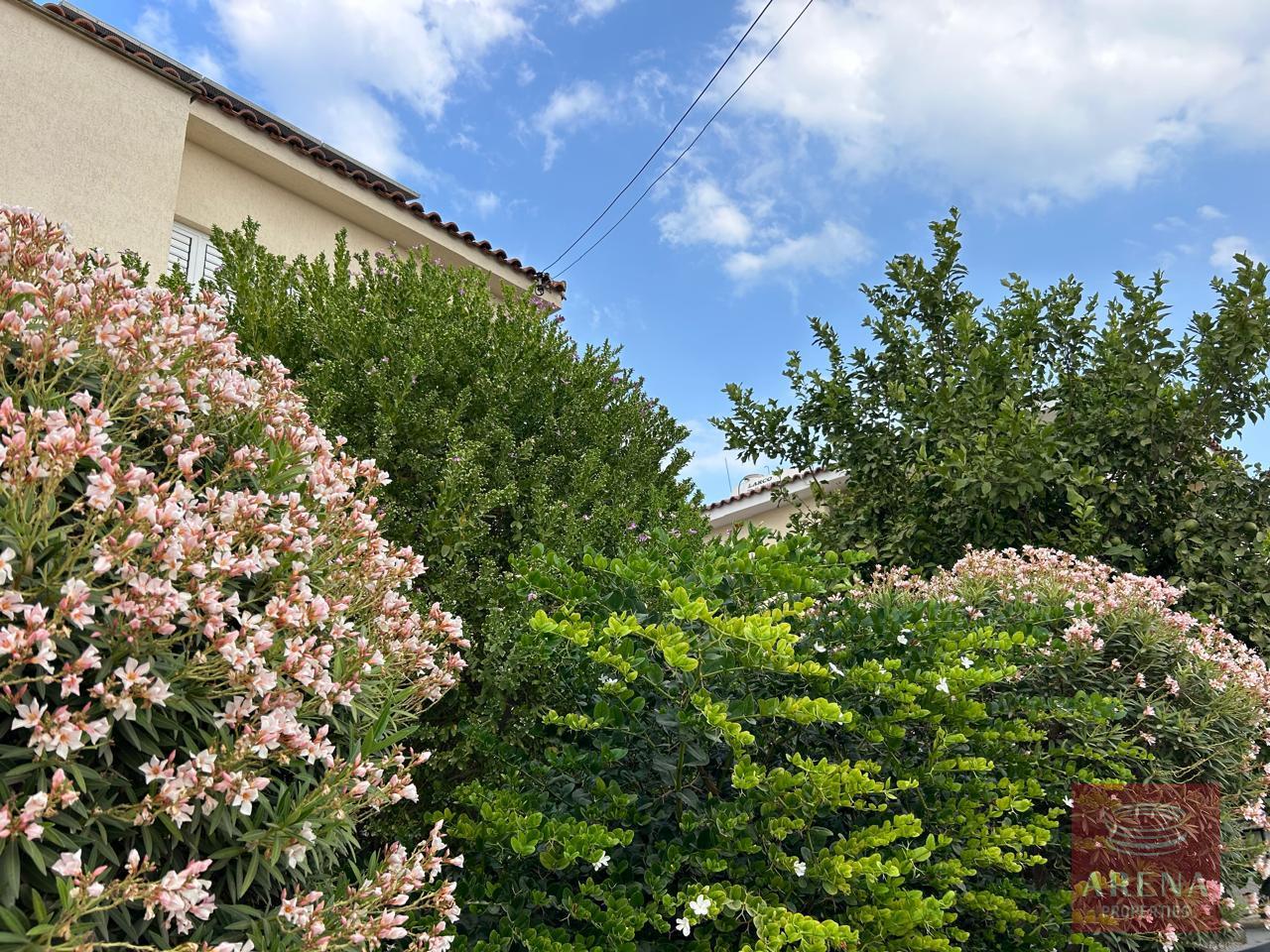 7-4-BED-VILLA-IN-ARADIPPOU-8641