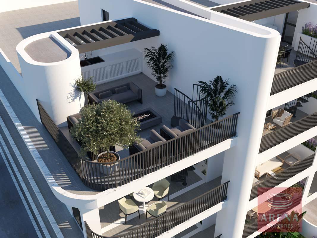 8-APTS-IN-DERYNIA-8154-1