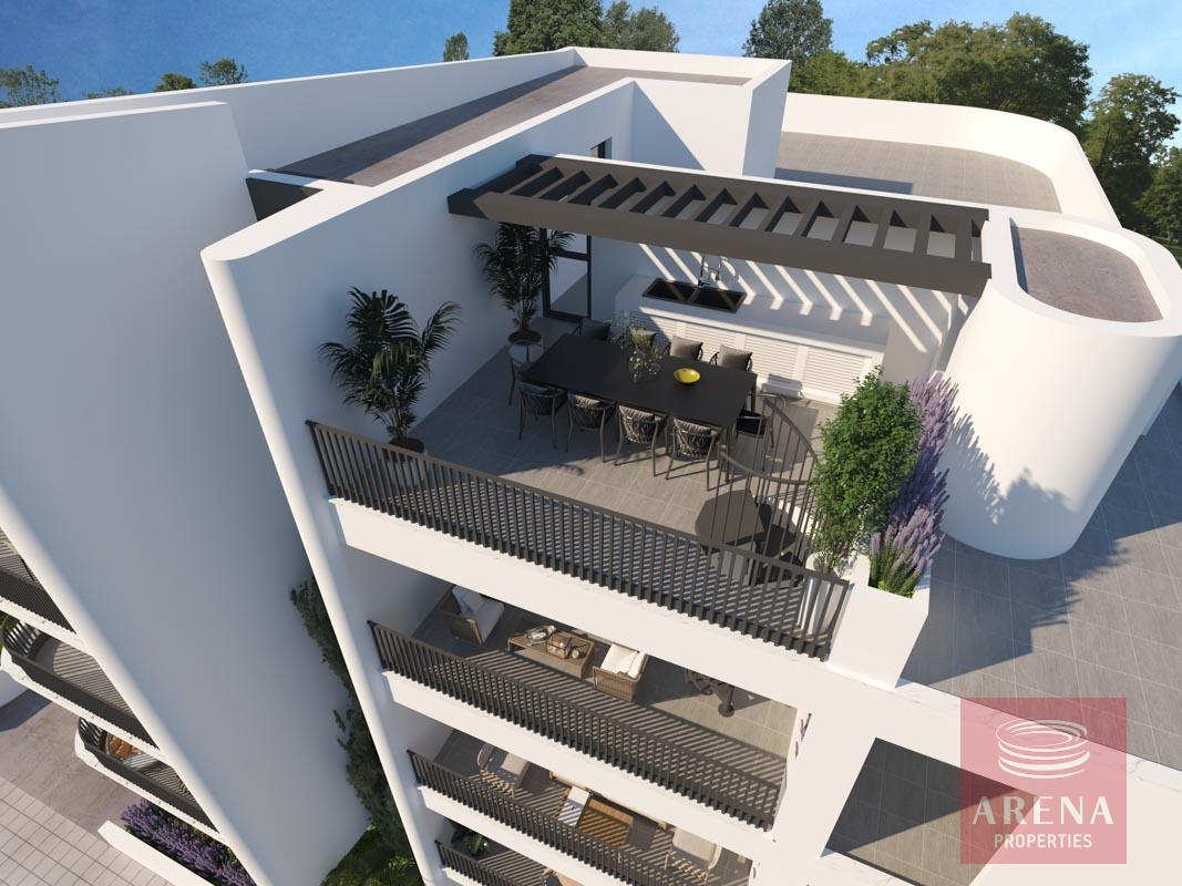 9-APTS-IN-DERYNIA-8154-2