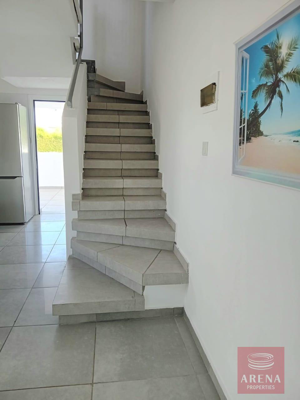 IMG-20241210-WA0013-1