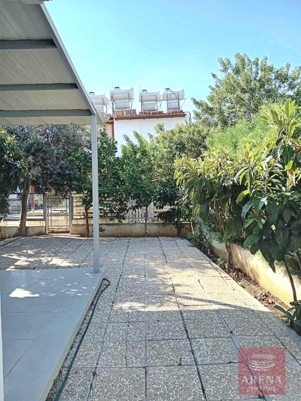 IMG-20241210-WA0021-1