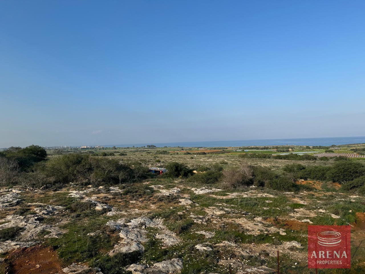 IMG-20250115-WA0025-4