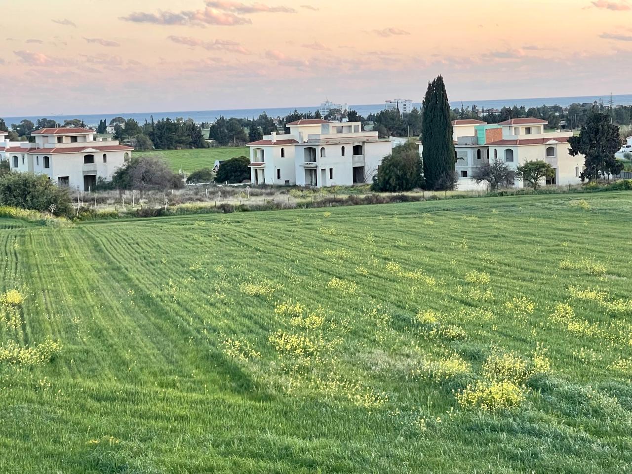 IMG-20250805-WA0148-3